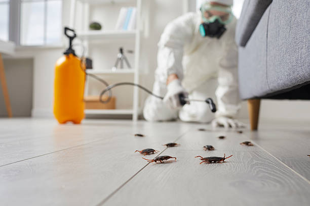 Post-Treatment Bed Bug Interceptor Monitoring in North Fair Oaks