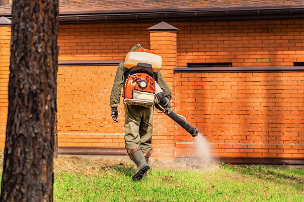 Bed Bug Clearance Verification and Documentation in North Fair Oaks